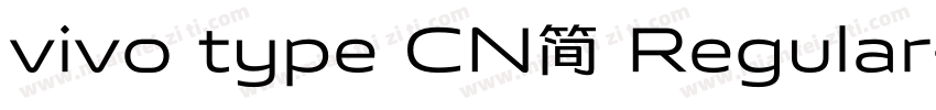 vivo type CN简 Regular字体转换